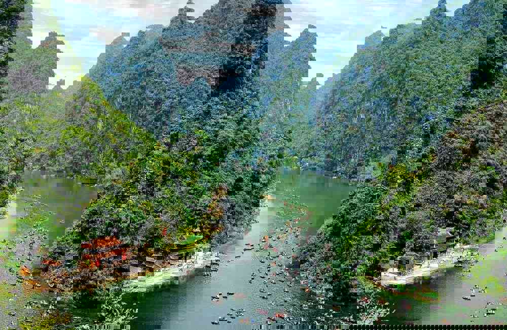 DVX VIET NAM Hà Nội - Ninh Bình