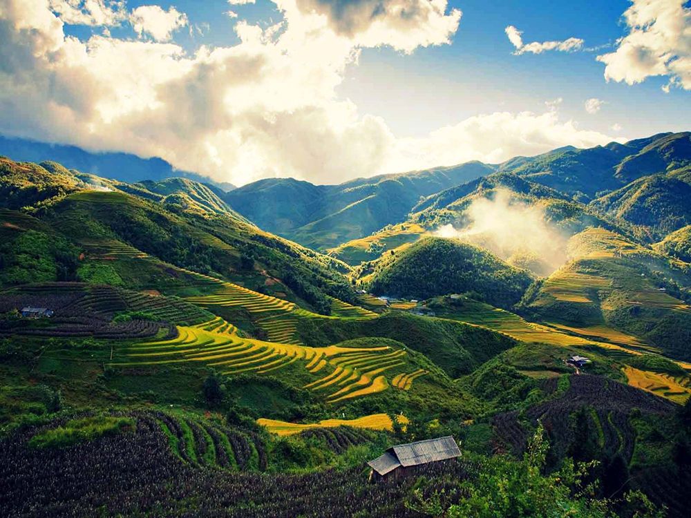 DVX Việt Nam Hà Nội - SaPa